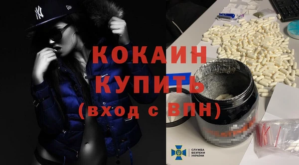 шишки Беломорск