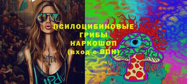 шишки Беломорск