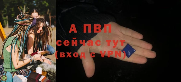 гидропоника Белокуриха