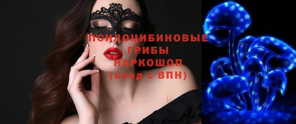 шишки Беломорск