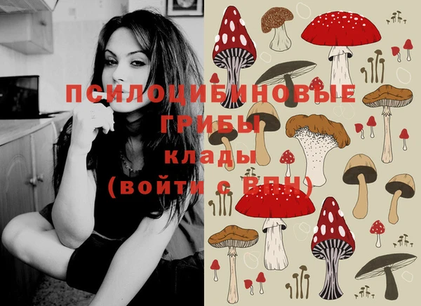гидропоника Белокуриха