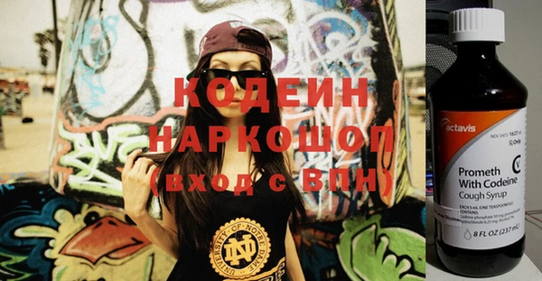 шишки Беломорск