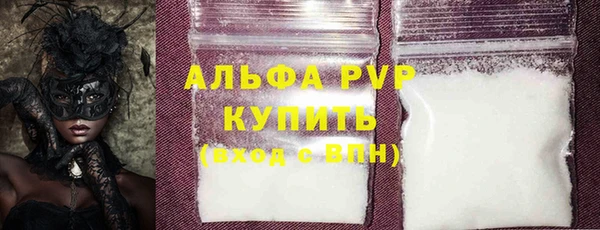 шишки Беломорск